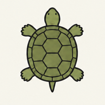原创教学插图
Original teaching illustration: 龟
turtle / tortoise
