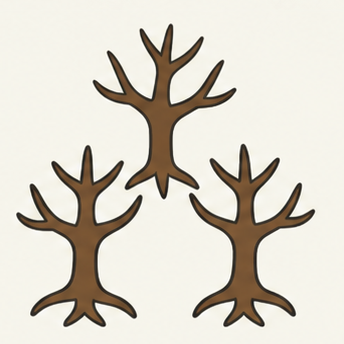 原创教学插图
Original teaching illustration: 森林;茂密
forest