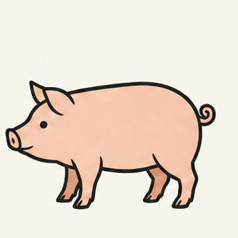 原创教学插图
Original teaching illustration: 猪
pig