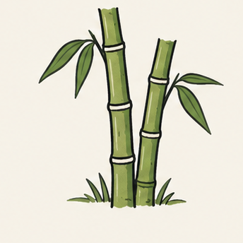 原创教学插图
Original teaching illustration: 竹子
bamboo