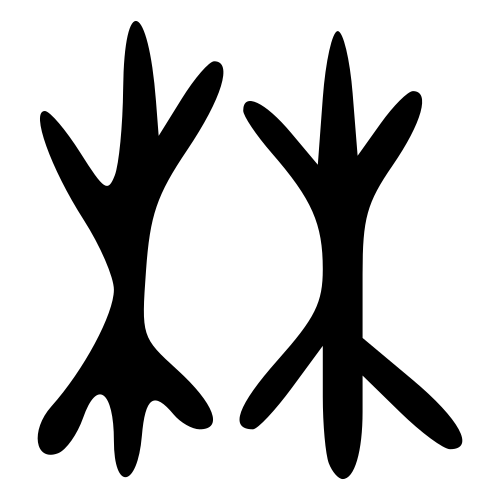 林 — 甲骨文
Oracle bone, 历史字形摹本
historical reproduction