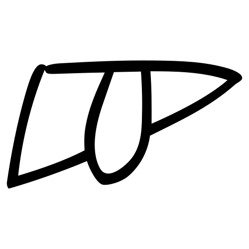 目 — 甲骨文
Oracle bone, 历史字形摹本
historical reproduction