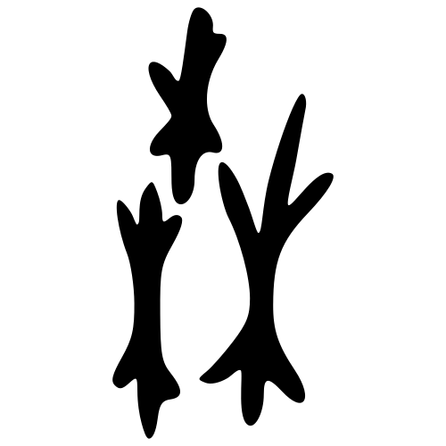 森 — 甲骨文
Oracle bone, 历史字形摹本
historical reproduction