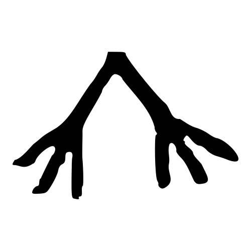 竹 — 金文
Bronze inscriptions, 历史字形摹本
historical reproduction