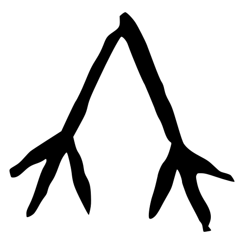 竹 — 甲骨文
Oracle bone, 历史字形摹本
historical reproduction